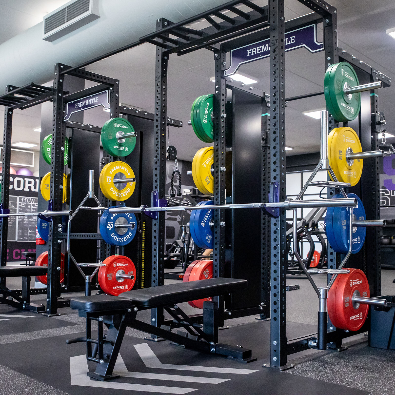 Installed AlphaFit Half Cage with plate storage, a barbell and a bench